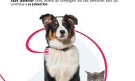 Des informations pour vos animaux